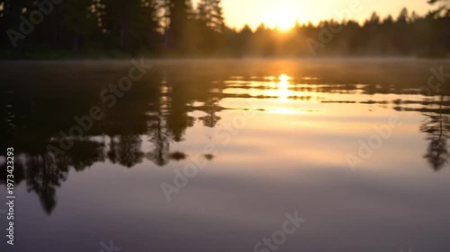 Tranquil forest lake with fog reflects pine trees at twilight