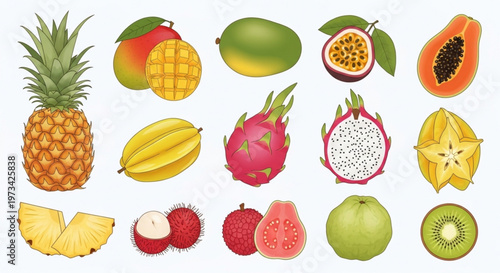 A colorful vector illustration of various exotic fruits on a white background
