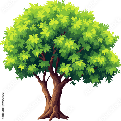 Green tree with dense crown isolated on white background, natural deciduous tree illustration for landscape and design
