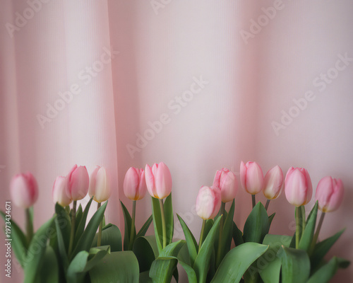 Delicate pink tulips in a vase a soft and elegant floral arrangement