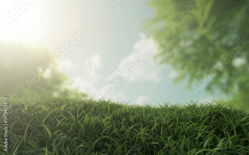 Title lush green forest canopy with sunlight filtering through the leaves description a vibrant blurred view of a dense forest showcasing bright