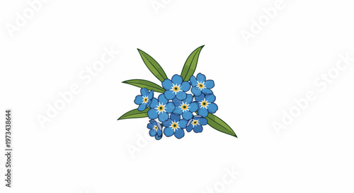 A cluster of vibrant blue forget-me-not flowers with green leaves against a white background