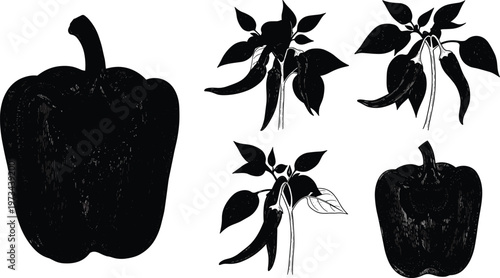 Chili pepper and bell pepper silhouette collection with plant branches and vegetables, grunge black food elements in vector illustration set