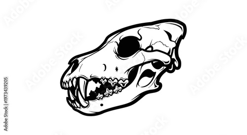 Stylized Canine Skull Illustration with Sharp Teeth, Black and White Line Art