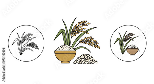 Rice Grain Harvest and Bowl Icon Set Vector Illustration for Food Industry Branding