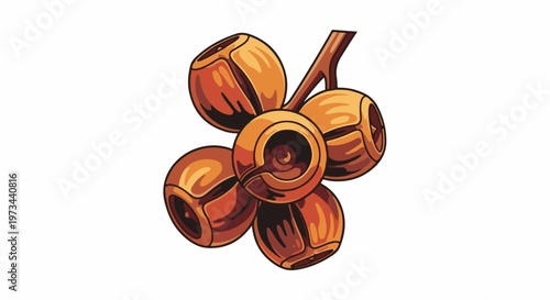 A cluster of smooth, round, brown seed pods attached to a thin brown branch