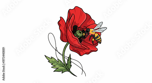 A bee pollinates a vibrant red poppy flower, gathering nectar