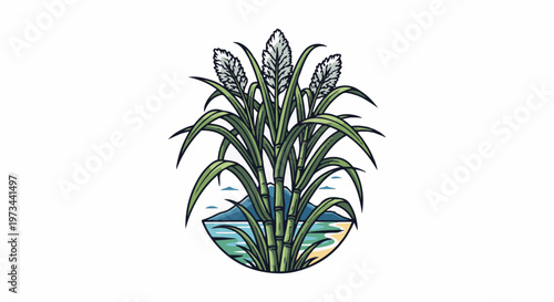 Lush green sugar cane stalks with feathery tops rise above a tropical beach scene