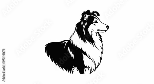 A black and white profile of a long-haired dog with its head turned right, showcasing its mane