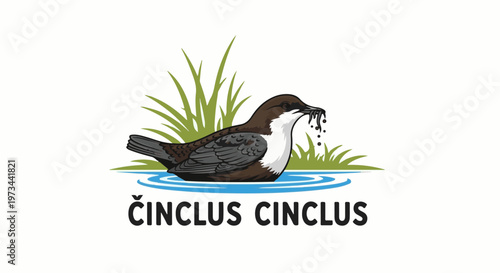 A brown and white bird with a beak full of food stands in blue water, surrounded by green grass