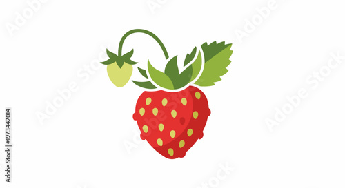 A stylized red strawberry with green leaves and stem, with a smaller pale berry