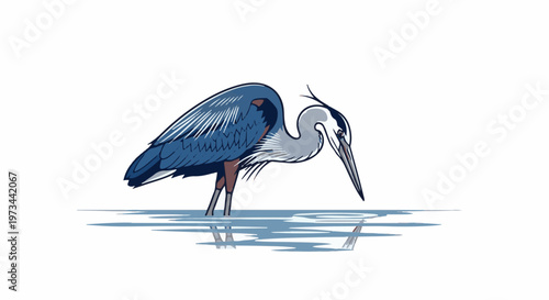 A blue heron patiently hunts in shallow, reflective water