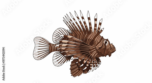 Striking brown and white striped fish with fins spread wide