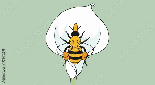 A stylized bee with black and yellow stripes rests inside a white calla lily