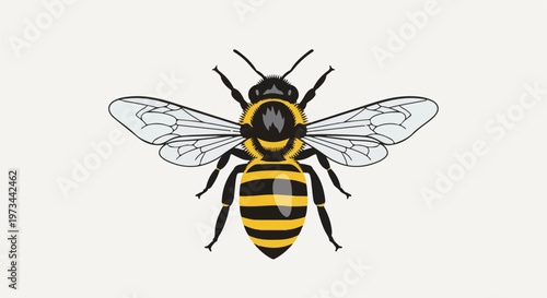 Striking close-up illustration of a honey bee with black and yellow stripes and transparent wings