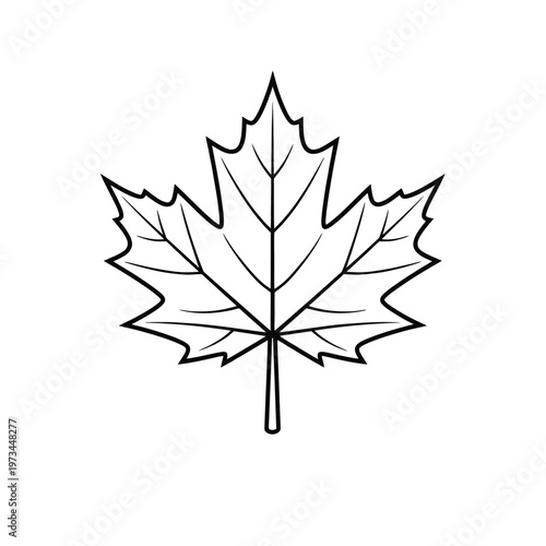 Simple Black and White Maple Leaf Outline Graphic - Ideal for Design Projects, Educational Materials, and Canadian Symbolism Representation - Vector Art Illustration