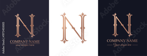 Letter N logo monogram in classic serif style with subtle decorative elements. Clean logotype for personal branding, corporate identity and premium design.