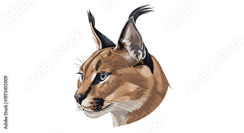 Detailed digital illustration of a caracal head profile featuring black ear tufts and beautiful wild cat markings on white background.