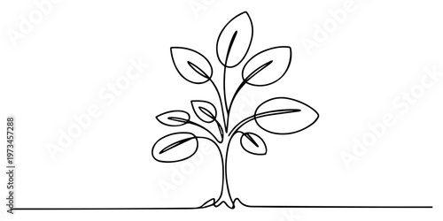 A minimalist drawing of a small tree sapling with lush leaves, created using a single one continuous line art style, tree plant outline vector illustration, Plant growing, a small tree with leaves pro