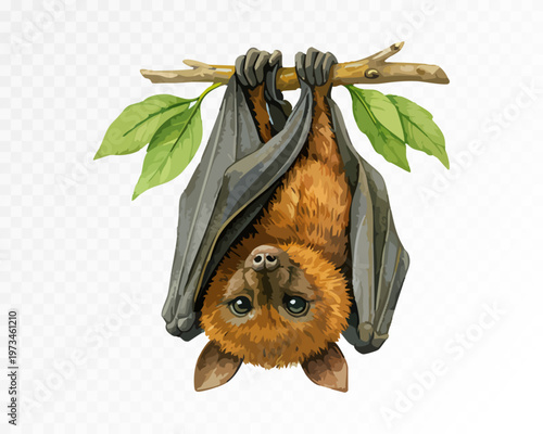 Hanging fruit bat with folded wings on a leafy branch, detailed nocturnal tropical mammal in hand painted wildlife style, isolated exotic animal illustration for nature themes. Vector illustration.