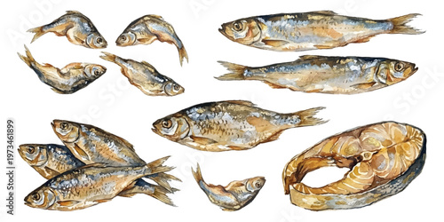 Watercolor set of dried and salted fish whole and sliced for beer snacks and seafood appetizers isolated on transparent background