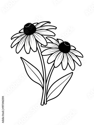 Line art black eyed susan flower 