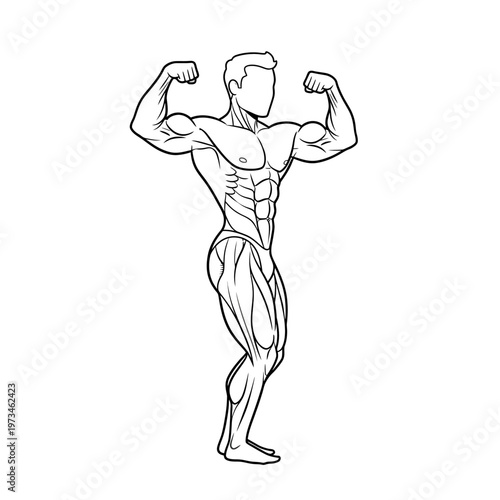 Line art bodybuilder vector 