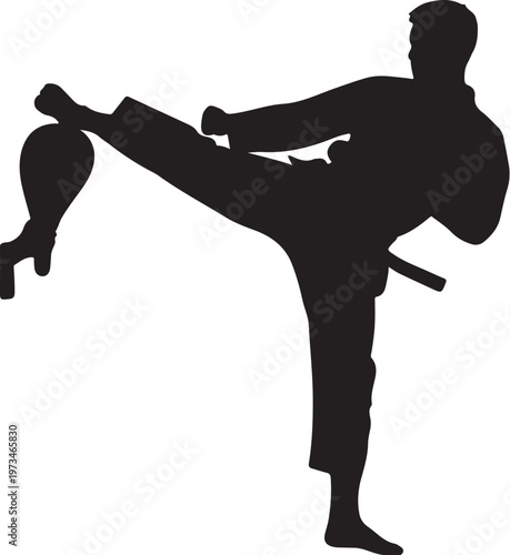 Martial arts silhouette, karate kick vector, black martial arts icon, kickboxing illustration