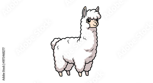 Fluffy white alpaca stands gracefully, showcasing its soft wool and gentle demeanor, a beloved South American camelid.