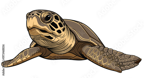 Graceful sea turtle glides through the water, looking directly forward, showcasing its beautifully patterned shell and powerful flippers.