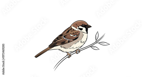 Charming house sparrow perched on a delicate branch, showcasing its brown and grey plumage, a common and beloved garden bird.