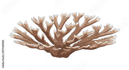 Elaborate staghorn coral formation, showcasing its complex branching structure and delicate texture, a vital part of marine ecosystems.