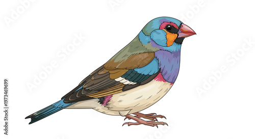 Vibrant Gouldian finch, a small and highly colorful bird, showcasing its rainbow plumage, a beautiful species from Australia.