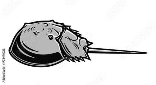 Ancient horseshoe crab, a marine arthropod, showcasing its unique helmet-shaped shell and long, pointed tail, a living fossil.