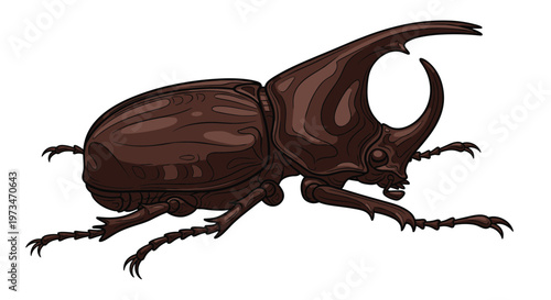 Imposing rhinoceros beetle, a large and robust insect, showcasing its prominent horns and dark exoskeleton, a marvel of the insect world.