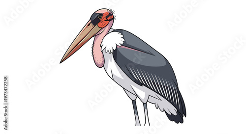Unique marabou stork, a large wading bird, showcasing its distinctive long beak and bare head, a scavenger of African landscapes.