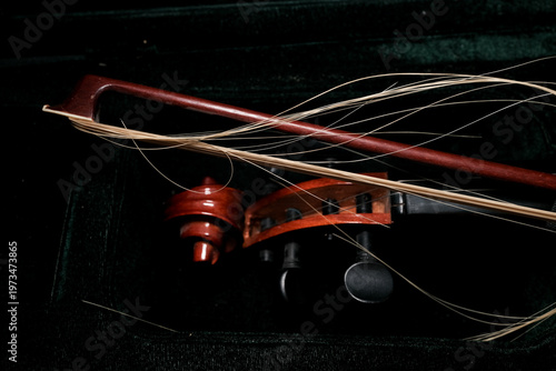 Photos Violin scroll and bow hairs on velvet