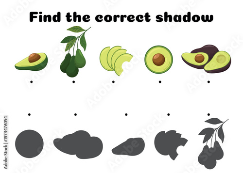 Find the correct shadow game with avocado fruits educational worksheet for kids