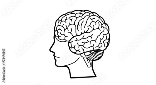 Human Brain Silhouette in Profile, Medical and Science Concept