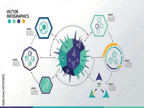 Infographic of virus structure and replication process with medical icons and circular diagram