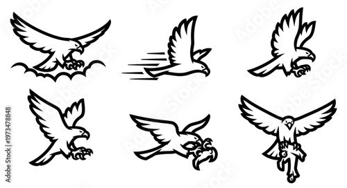 Series of Stylized Flying Eagle and Hawk Sketches.