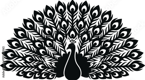 Black and white peacock illustration design.