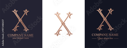 Elegant letter X logo monogram in decorative classic style with refined details. Versatile logotype for personal branding, business identity and premium design.