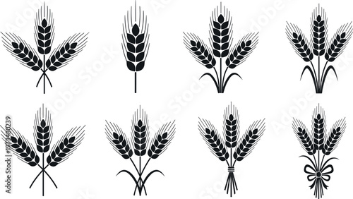 Wheat and barley ears silhouette set, agricultural grain symbols collection, black vector illustration for harvest, organic farming, food production and rural design