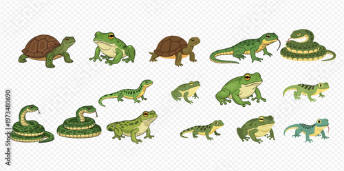 Collection of various amphibians and reptiles including frogs, turtles, lizards, and snakes on a transparent background.