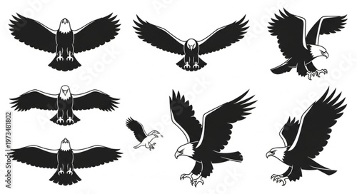 Set of stylized flying eagle silhouettes and poses.