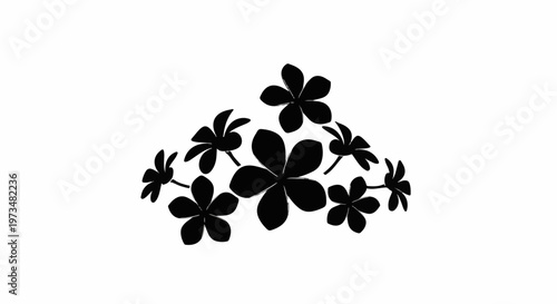 A black silhouette of a cluster of simple, five-petal flowers on a white background