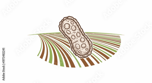 Stylized illustration of a pod-like object with circles on a field of diagonal brown and green lines