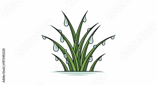 Clumps of green grass blades adorned with dew drops on a white background