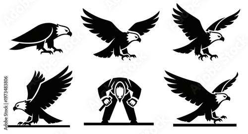 Six Stylized Eagle Logo Silhouette Set.